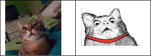 KAOS ANAK ASLI INDONESIA